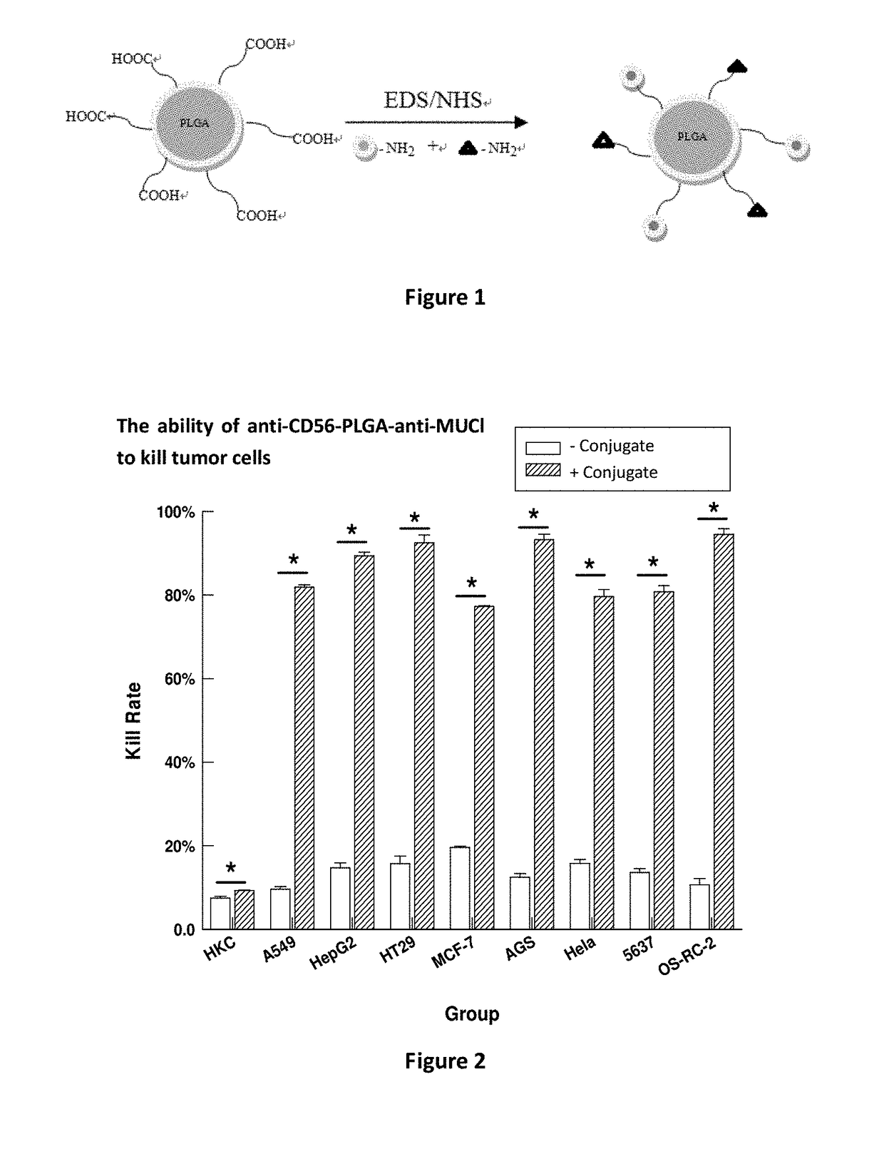 Multi-specific binding conjugate, related pharmaceutical compositions and use