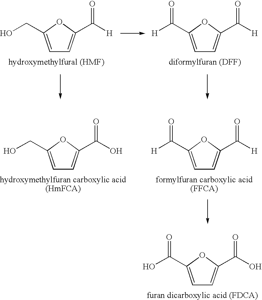 Enzymatic oxidation of hydroxymethylfurfural