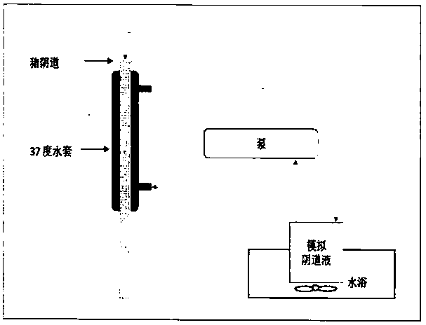 A kind of vaginal retention boric acid preparation and preparation method thereof