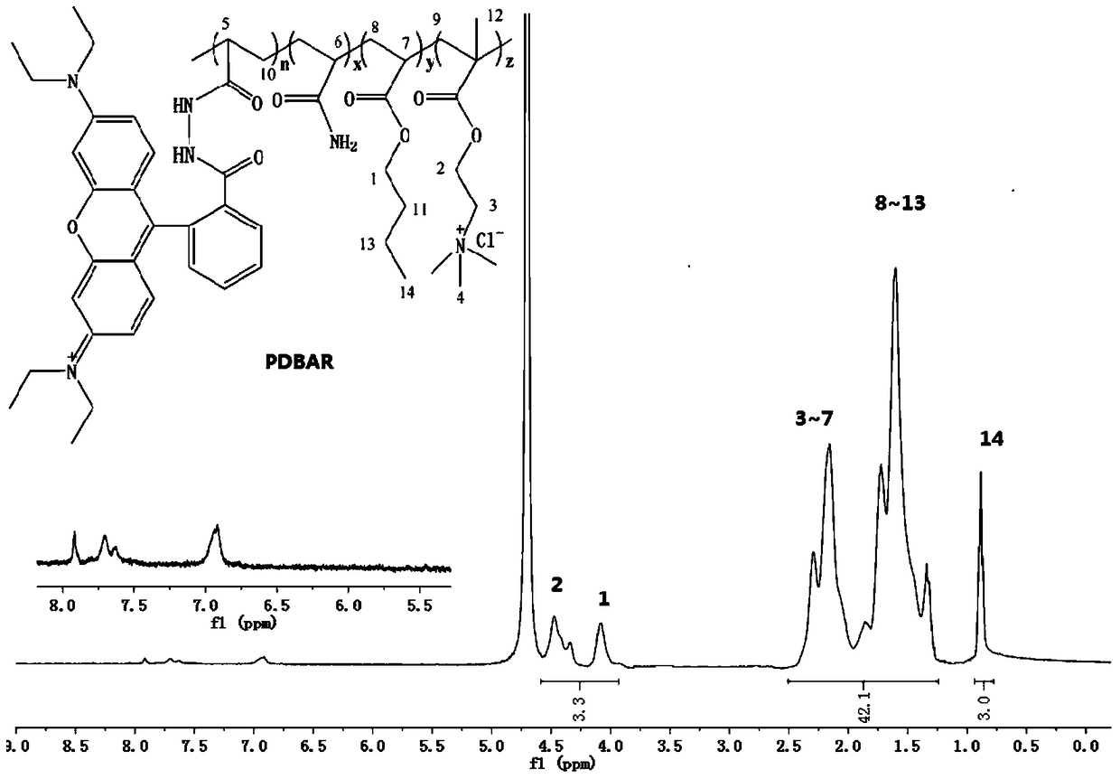 A kind of polymer pH fluorescent probe for cotton transfer printing and dyeing and its preparation method and application