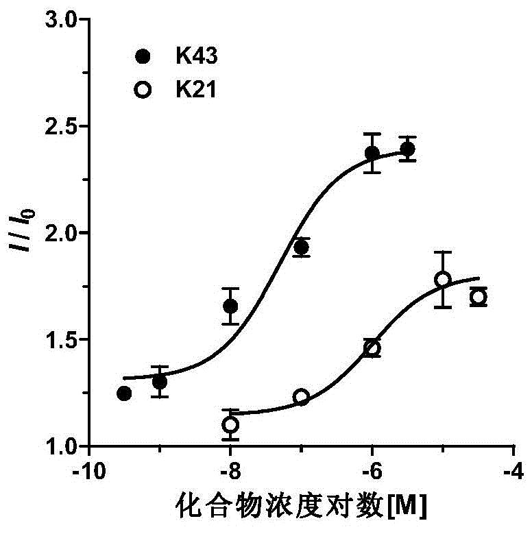 Novel KCNQ potassium channel agonist and preparation method and application thereof