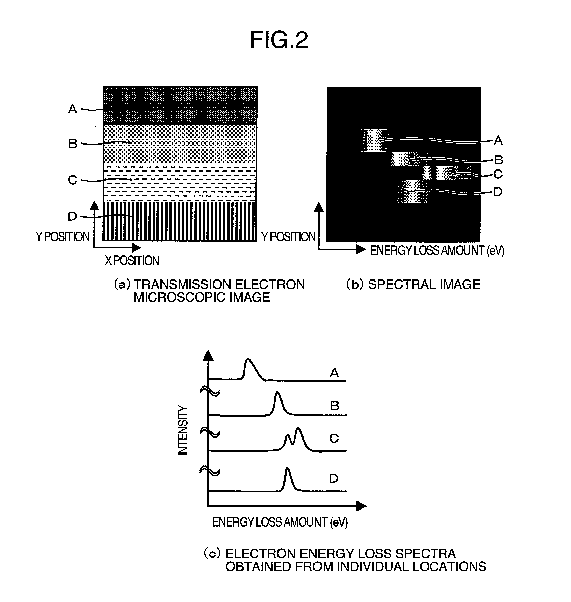 Transmission electron microscope apparatus comprising electron spectroscope, sample holder, sample stage, and method for acquiring spectral image