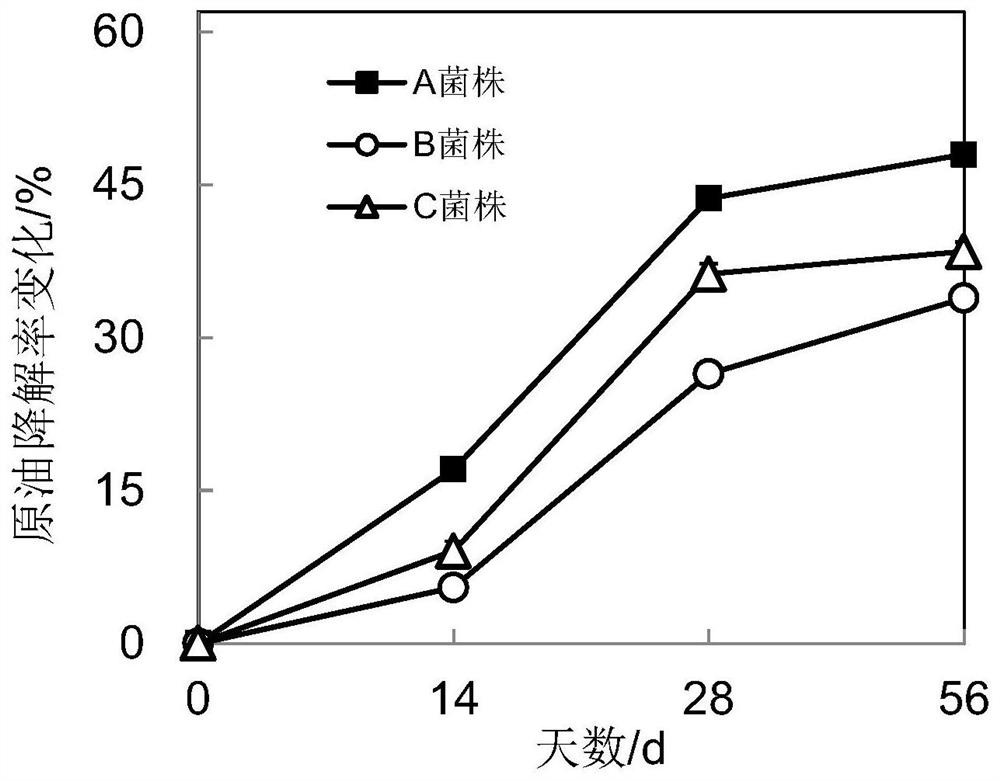 Method for Isolating and Purifying Efficient Petroleum Hydrocarbon Degrading Bacteria from Crude Oil Contaminated Soil