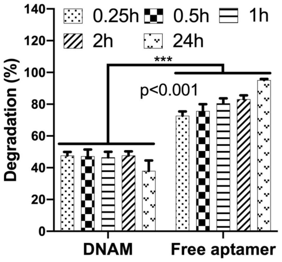 Nano-drug for treating osteoporosis as well as preparation method and application of nano-drug