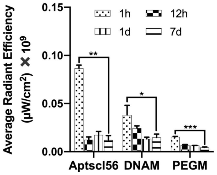 Nano-drug for treating osteoporosis as well as preparation method and application of nano-drug