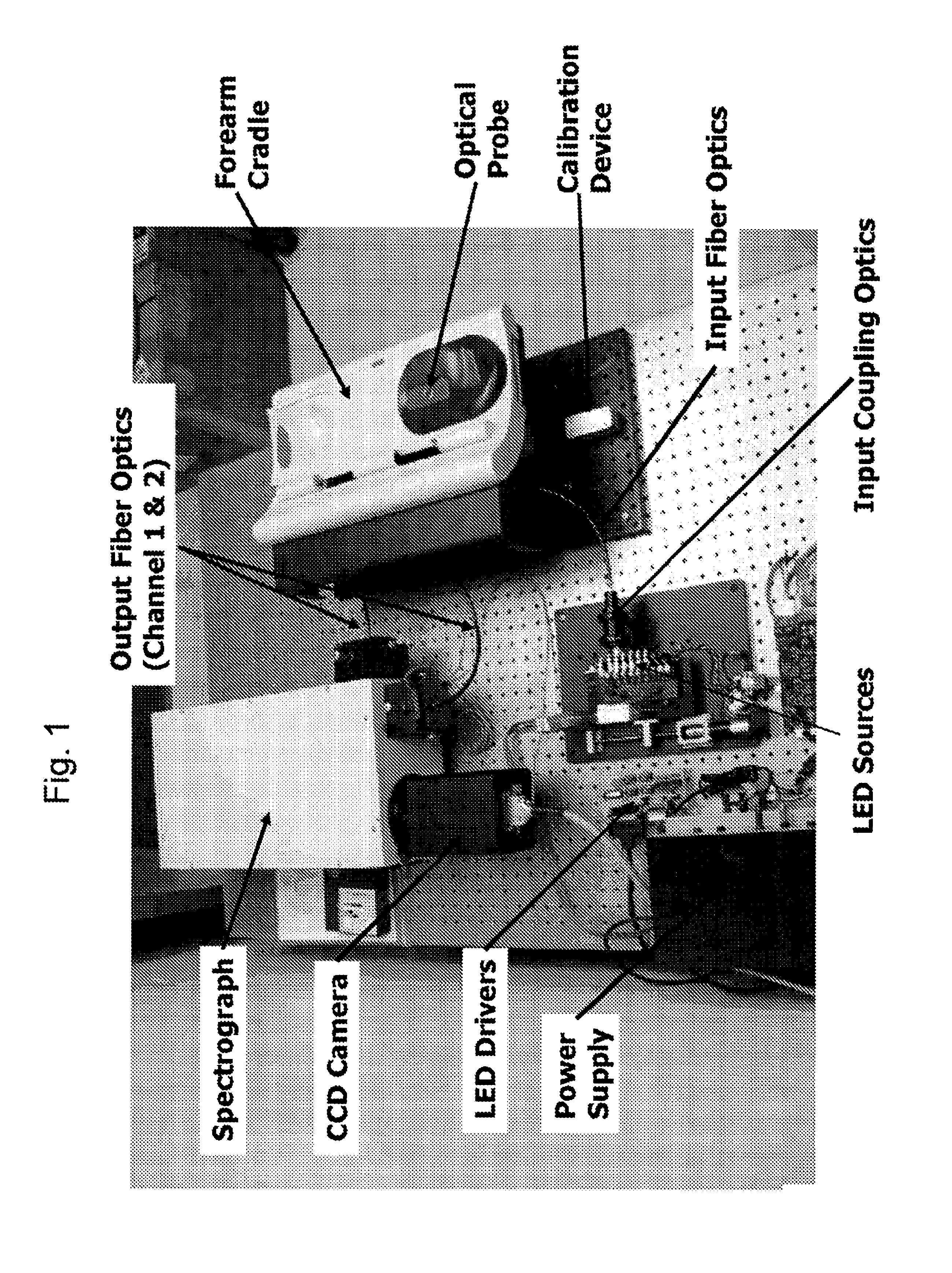 Method and Apparatus for Determination of a Measure of a Glycation End-Product or Disease State Using Tissue Fluorescence