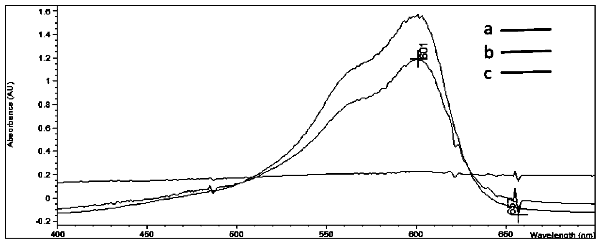 An electrochemical receptor sensor for detecting β-lactam antibiotics, preparation method and application thereof