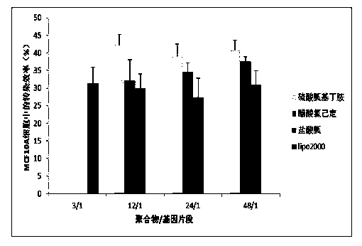 Guanidinylation SS-PAAs polymer as well as preparation and application thereof