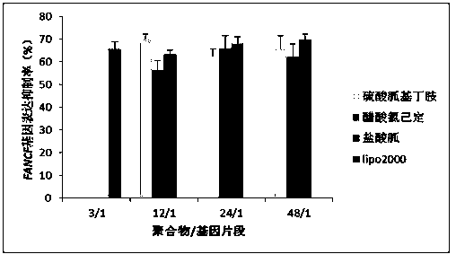 Guanidinylation SS-PAAs polymer as well as preparation and application thereof