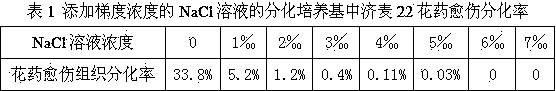 A Salt Tolerance Breeding Method of Wheat Using Flower Haploid to Screen Excellent Salt Tolerance Lines