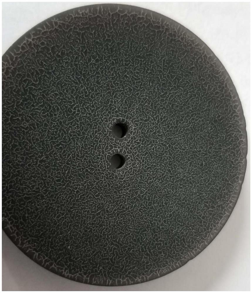 A button coating, a skin texture button and a preparation method thereof