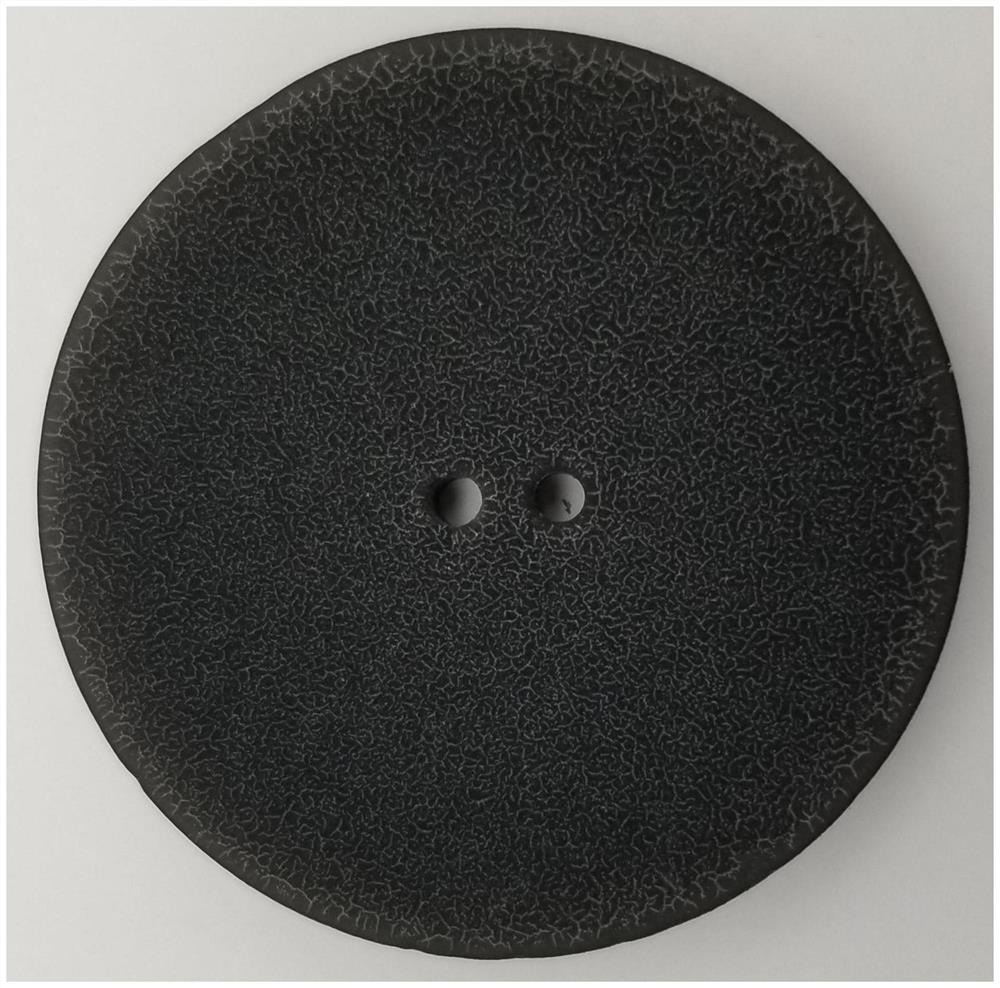 A button coating, a skin texture button and a preparation method thereof