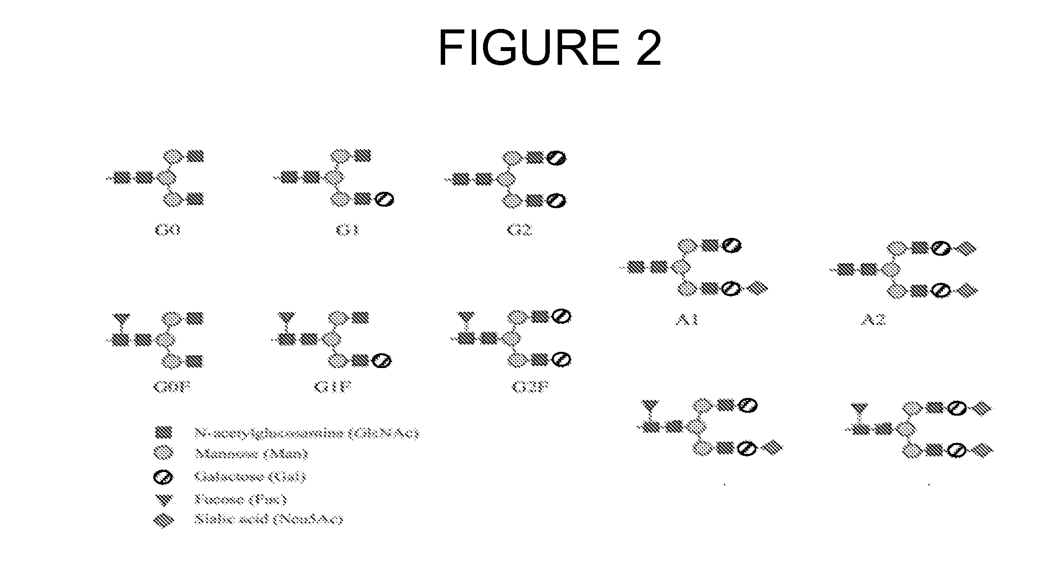 Modified fc fusion proteins
