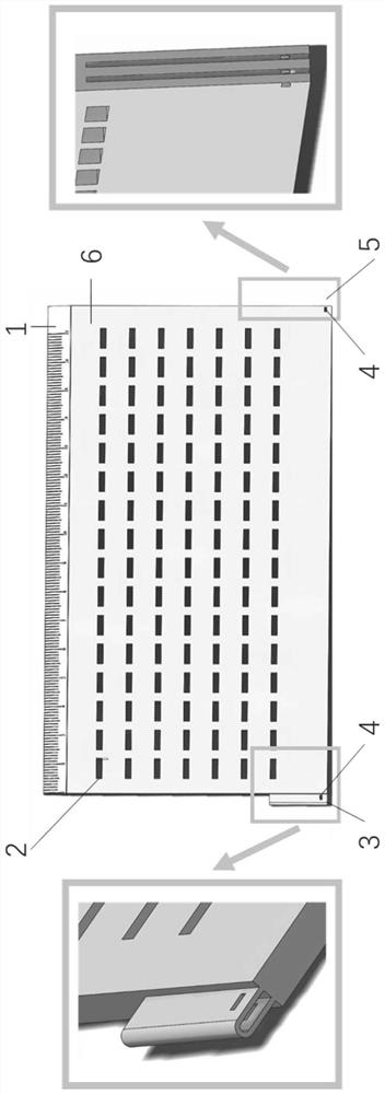 Grid ruler for grid spraying and scribing