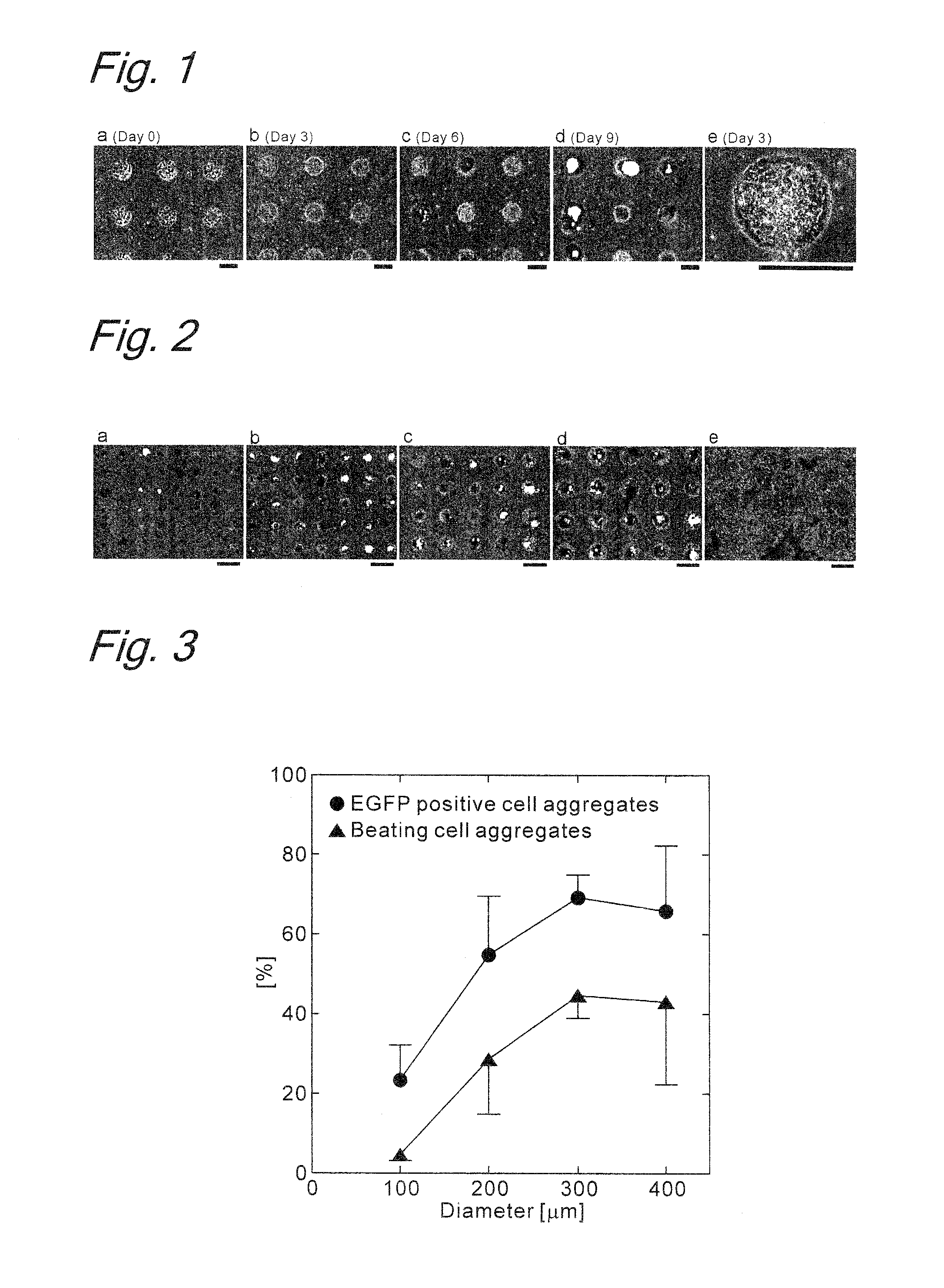 Method for inducing differentiation of embryonic stem cells or artificial pluripotent stem cells