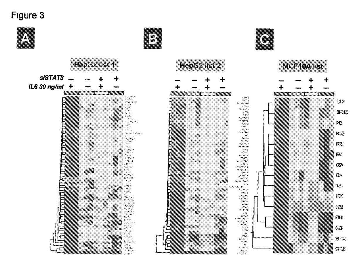 Gene expression signature for IL-6/STAT3 signaling pathway and use thereof