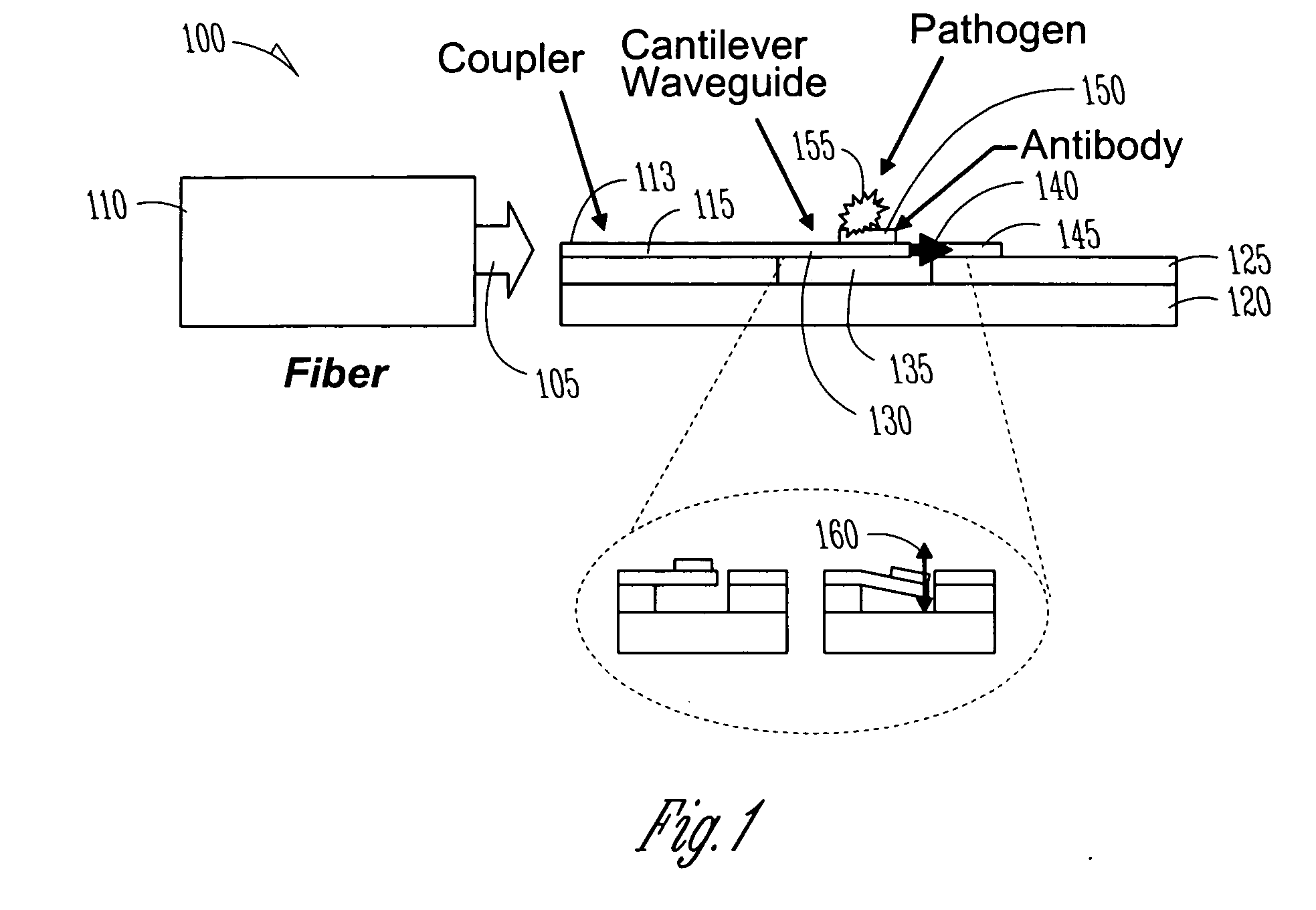 Optical waveguide displacement sensor