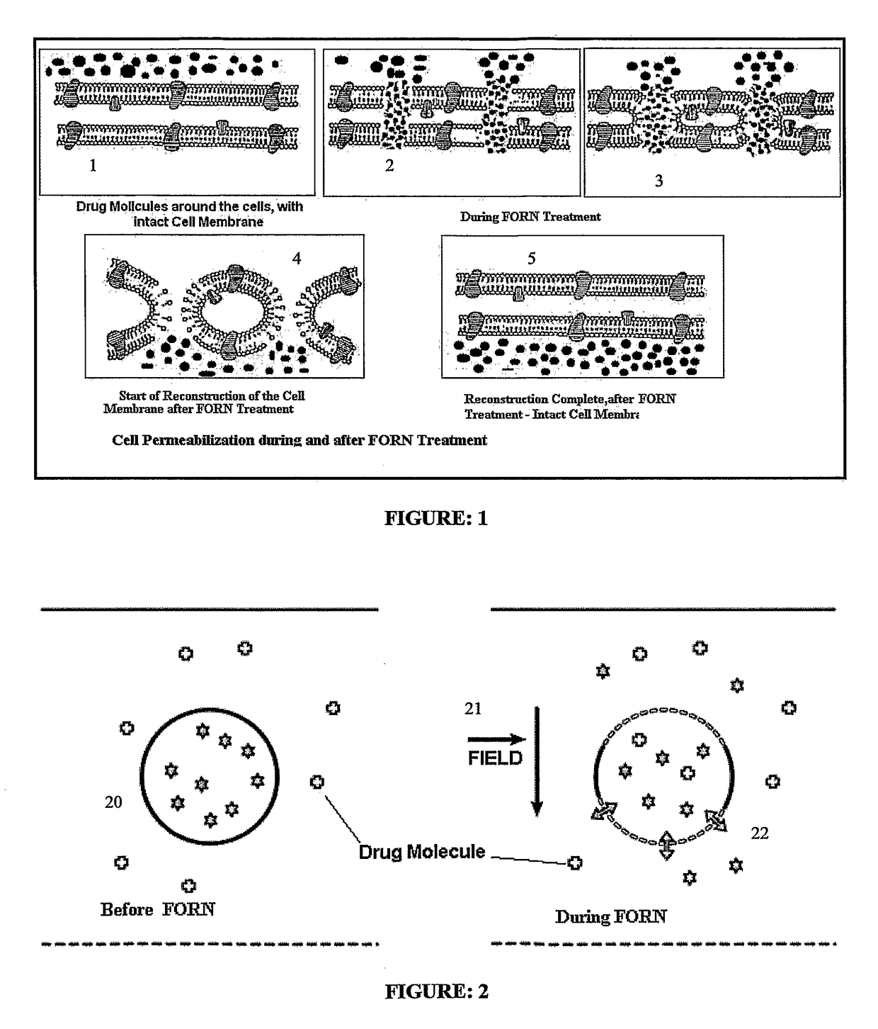 Method of treating cells with drug and radiation according to proton density