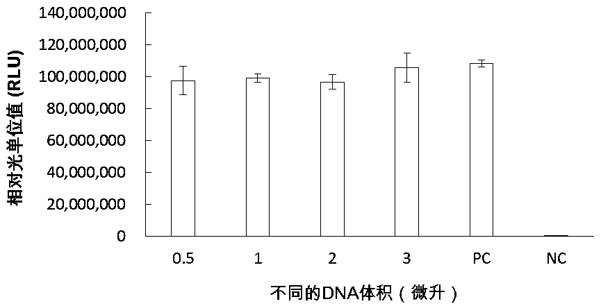 Synthesis system, preparation, kit and preparation method of in-vitro DNA-to-Protein (D2P)