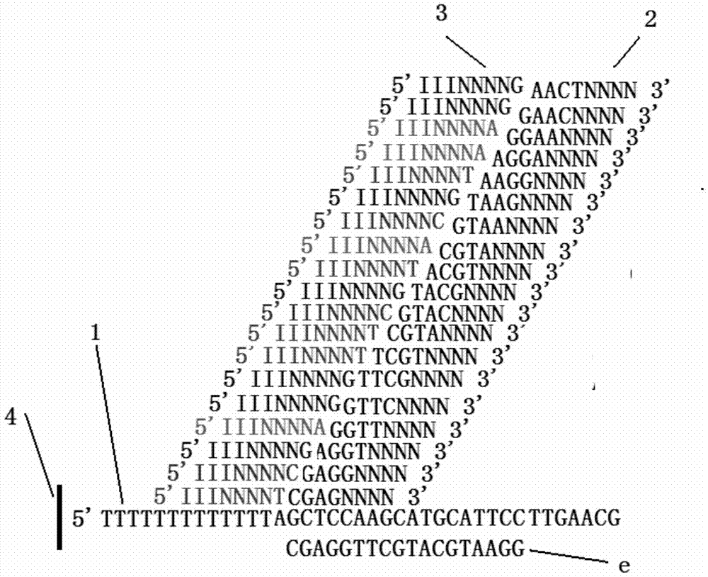 Hybrid high-throughput DNA sequencing method based on ligase reaction