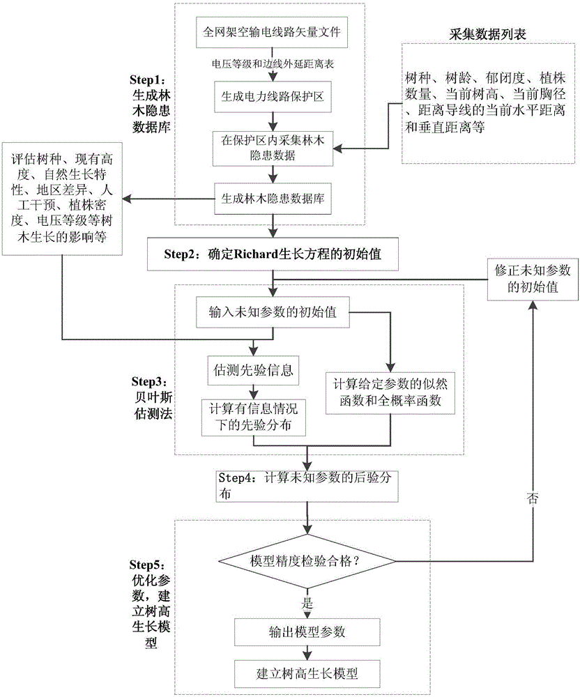 Prediction method of forest growth of overhead transmission line passageway