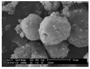 A honeycomb tio with microporous starch as template  <sub>2</sub> Porous microsphere and its preparation method