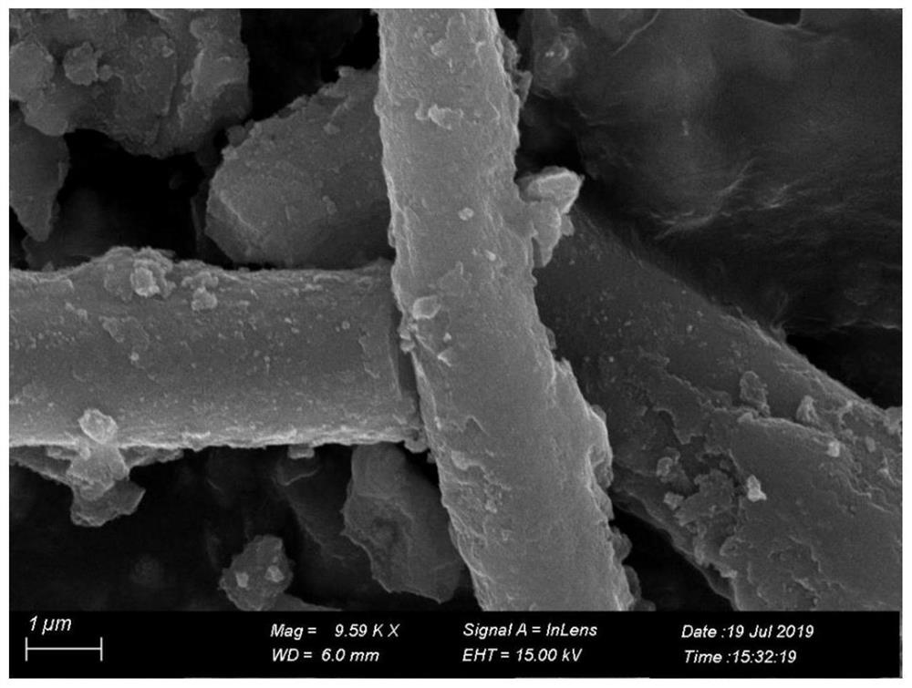 Coating type catalyst composition, catalytic filter tube and preparation method thereof