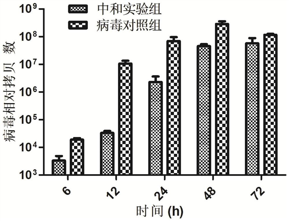 A largemouth bass rhabdovirus yolk antibody