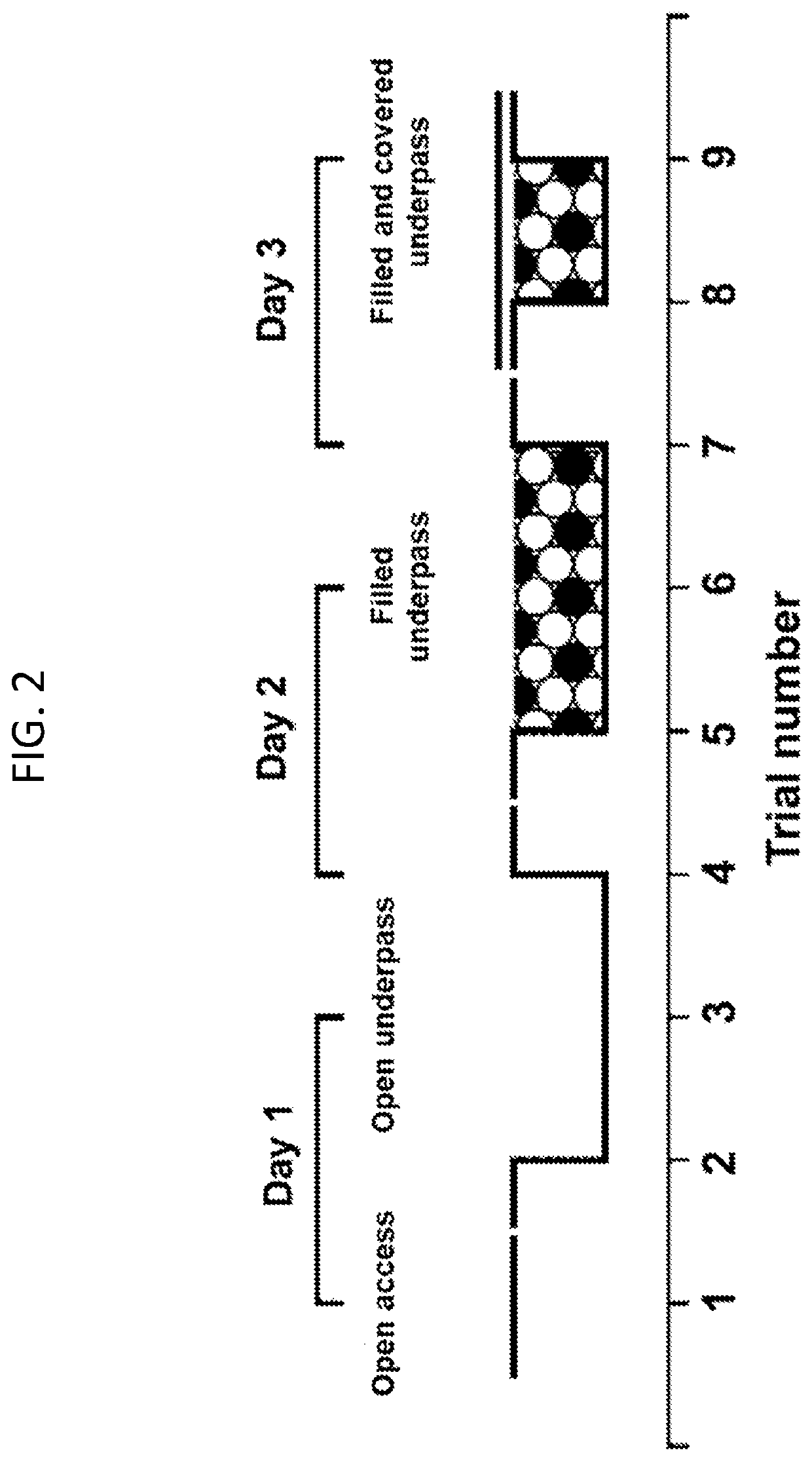 Pegylated cystathionine beta synthase for enzyme therapy for treatment of homocystinuria