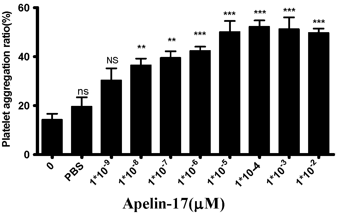 Apelin-17-containing pharmaceutical composition and application thereof