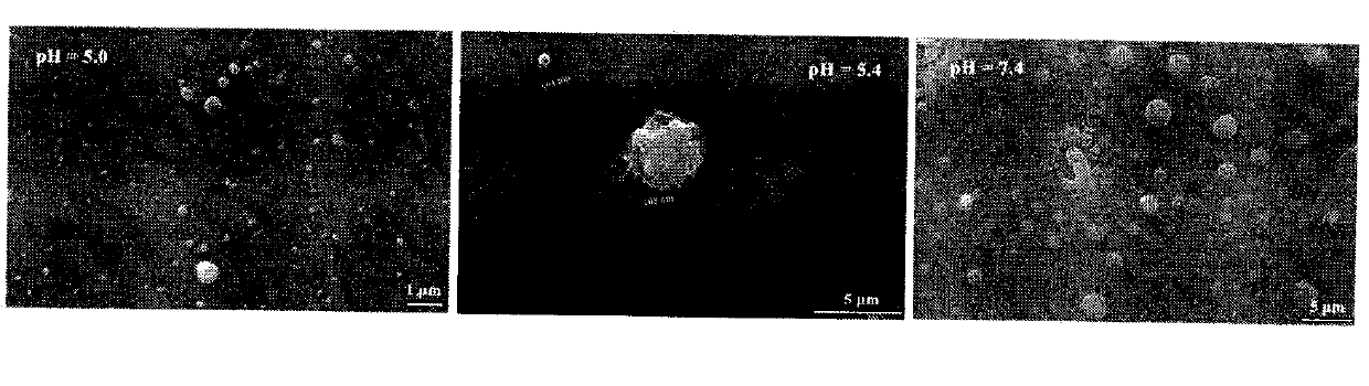 Imidazolisopropylacetyltheaninecarbobenzoxypyridoindole, and preparation method, nanostructure and application thereof