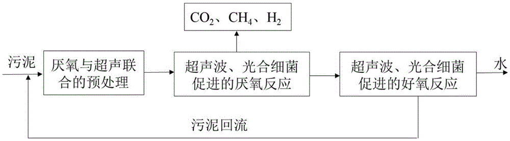 A method of combining ultrasonic waves and photosynthetic bacteria to promote the digestion of excess sludge