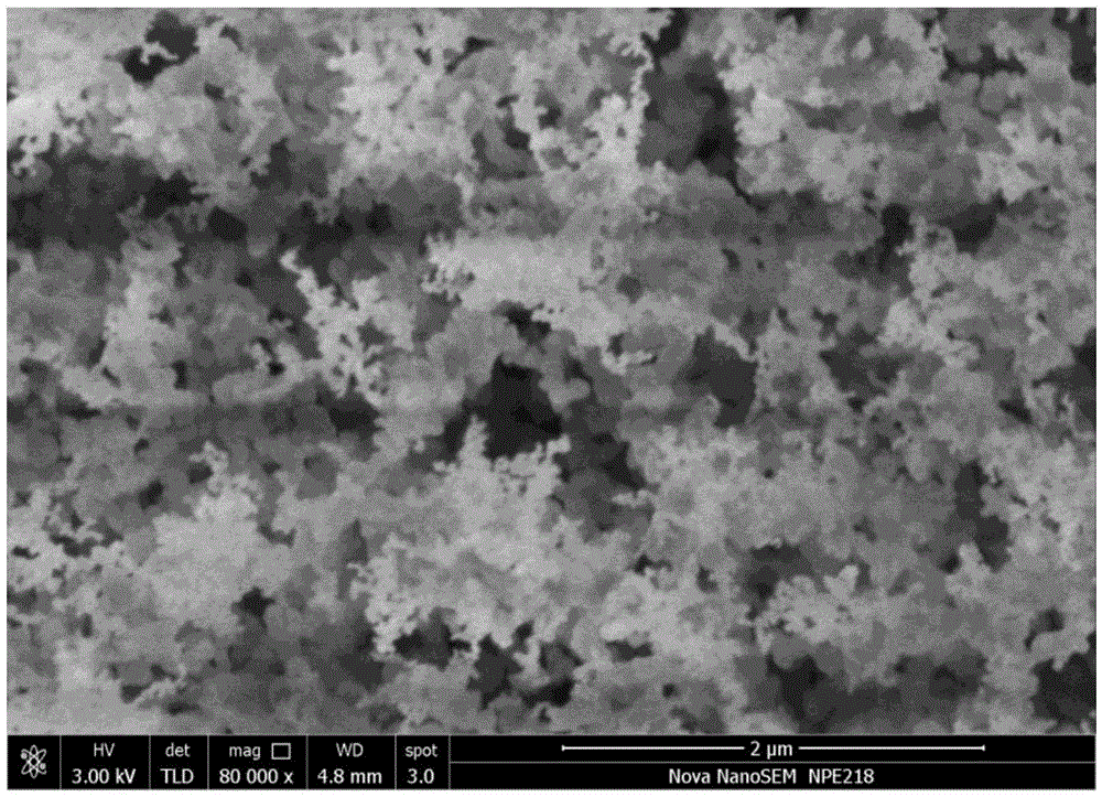 Preparation method and application of magnetic recyclable adsorbent