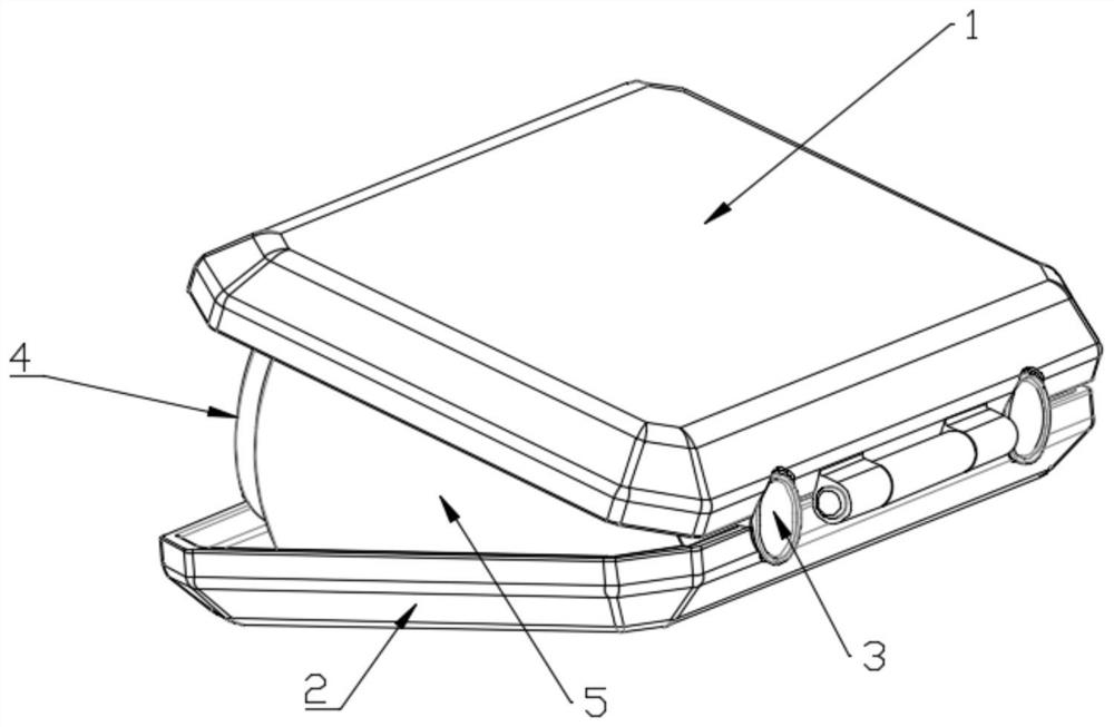 Visual training device