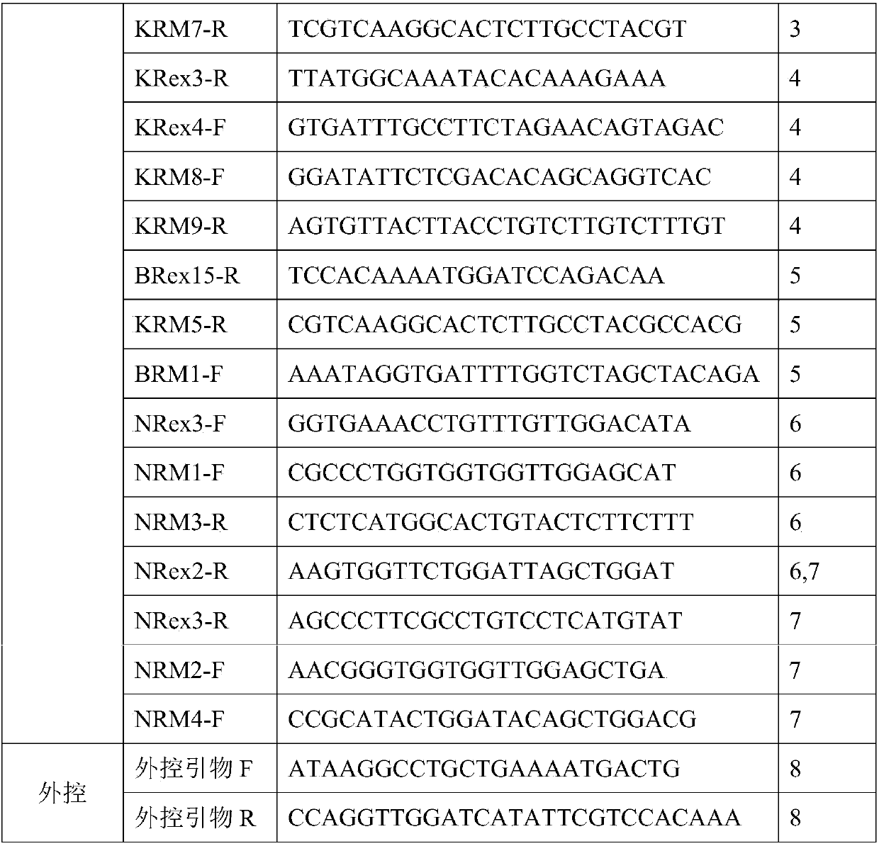 KRAS, NRAS and BRAF gene mutation detection kit