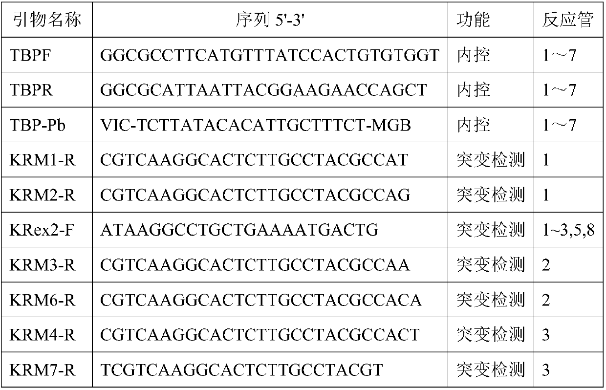 KRAS, NRAS and BRAF gene mutation detection kit