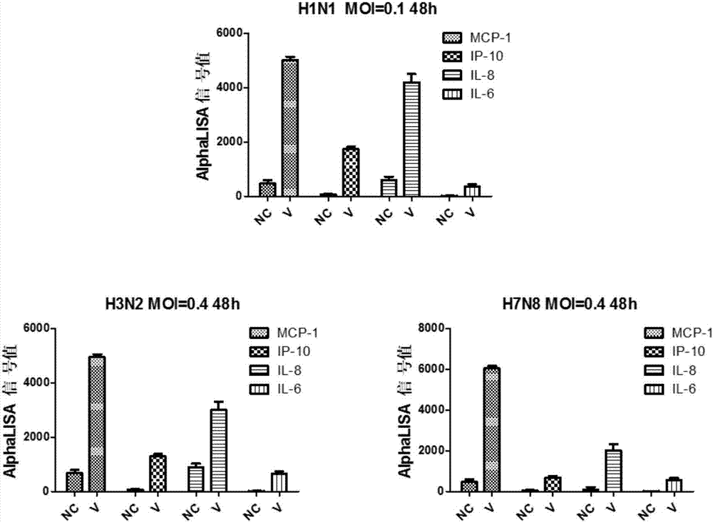 Application of human-derived monocytic series U937 in preparation of anti-influenza virus and drug screening model of inflammation factor induced by virus