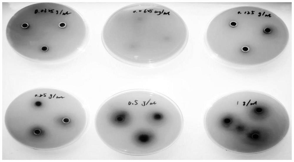 A Tibetan medicine composition for treating animal conjunctivitis and keratitis and its preparation method