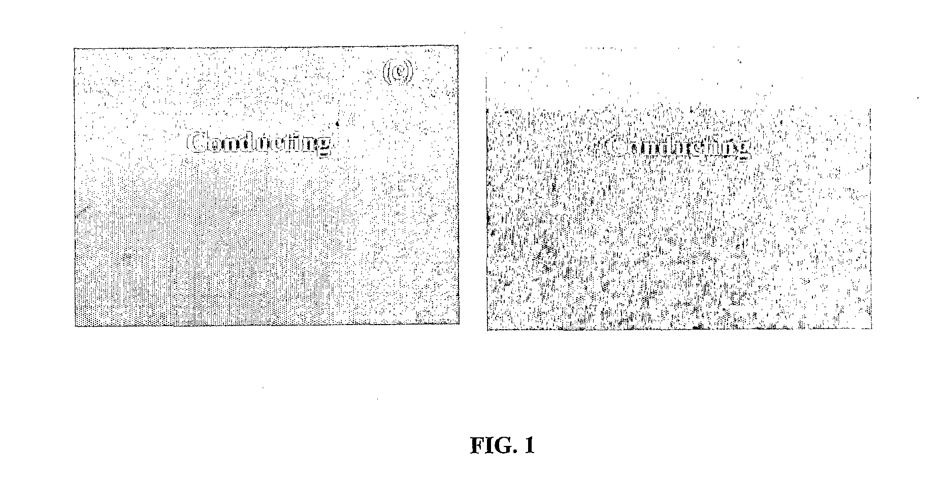 Optical memory device based on dhlfc material and method of preparing the same