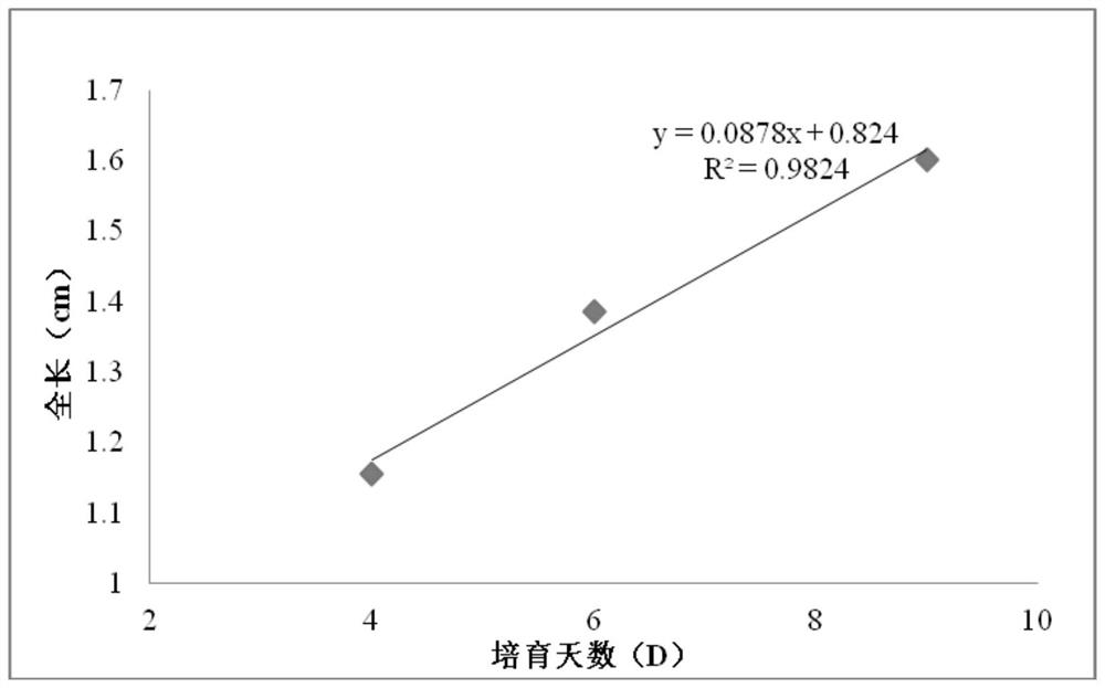 Microcapsule initial feed for paddlefish larvae and preparation method of microcapsule initial feed