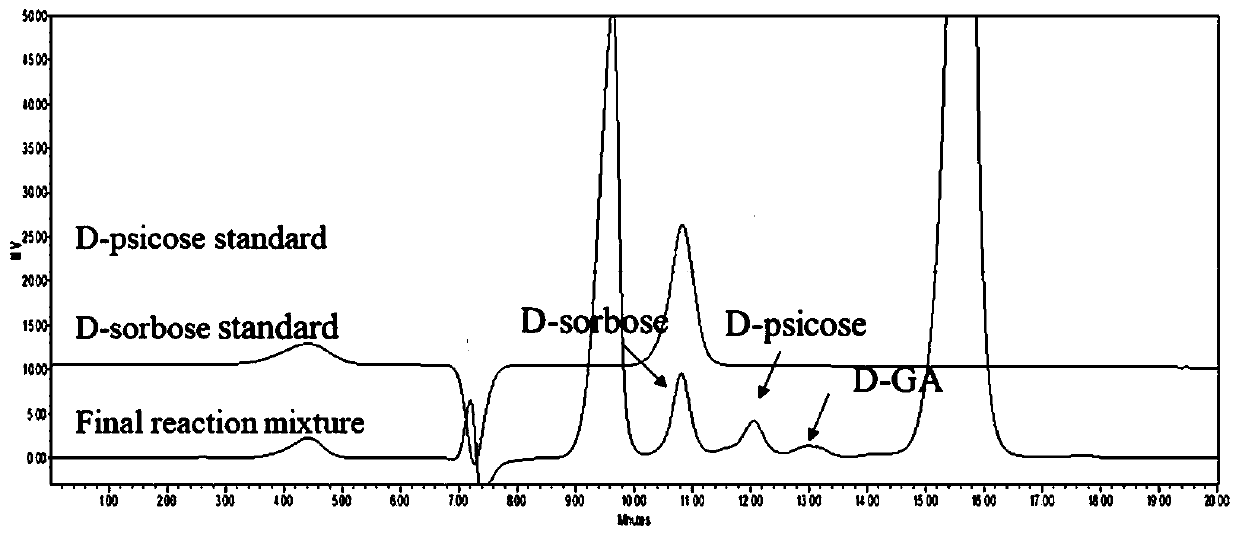 Preparation method for D-type rare ketohexose