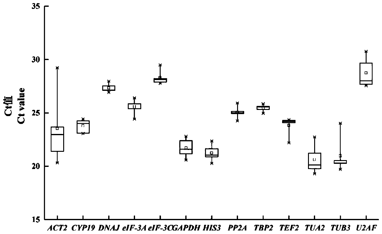 Fluorescent quantitative reference genes of different tissues of siberian wildrye and primers and application thereof