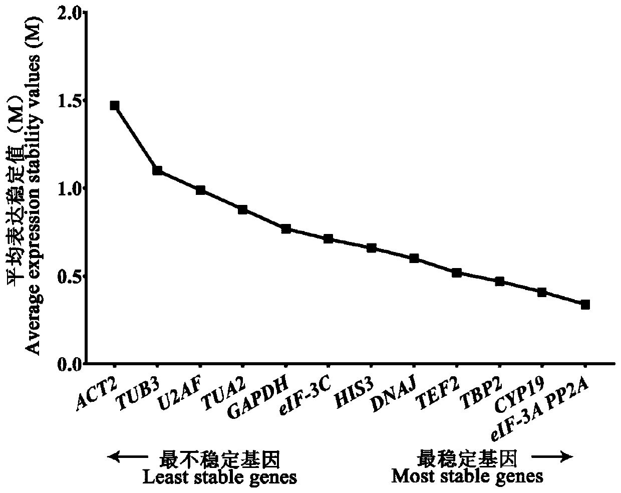 Fluorescent quantitative reference genes of different tissues of siberian wildrye and primers and application thereof