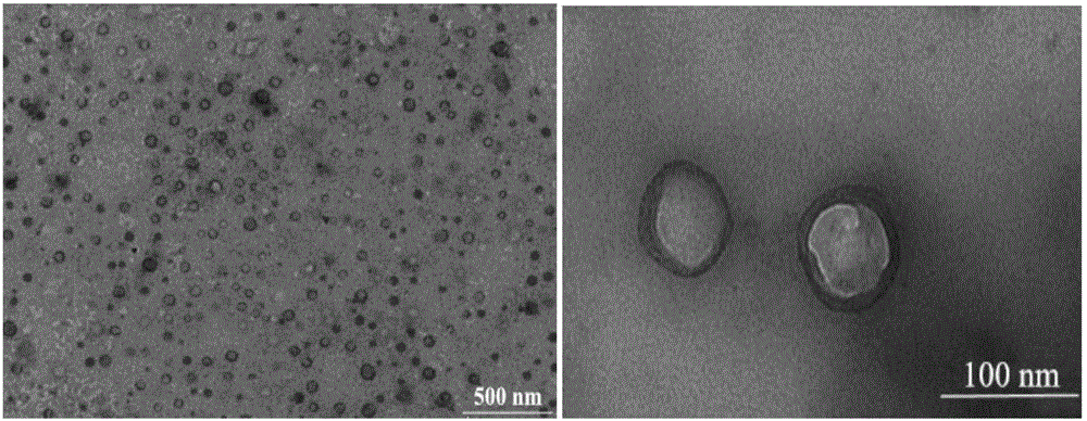 Preparation method of arabic gum hollow nanospheres