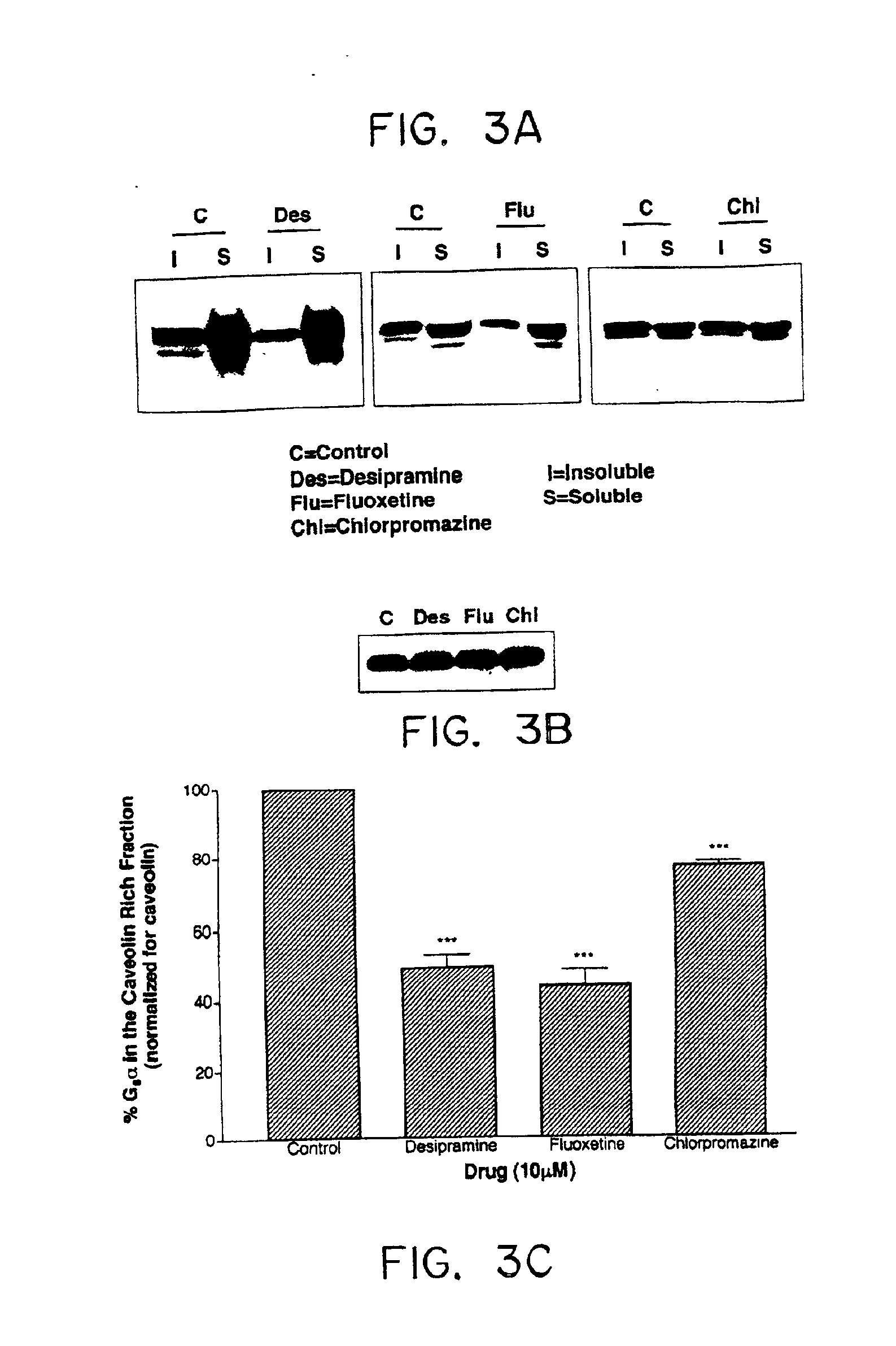 Marker for antidepressant therapy and methods related thereto