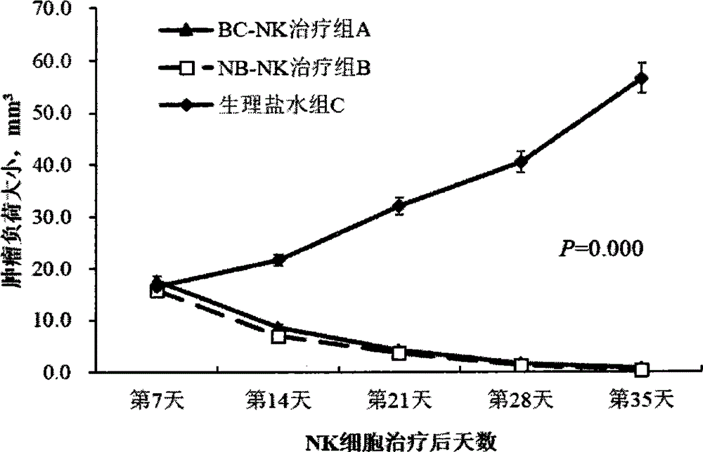 Preparation method and application of autologous natural killer cell proliferation