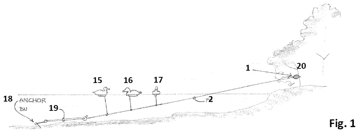 System and method for operating animal decoys to simulate the movement of animals