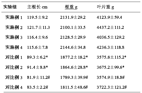 Plant infusion nutrient solution and preparation method thereof