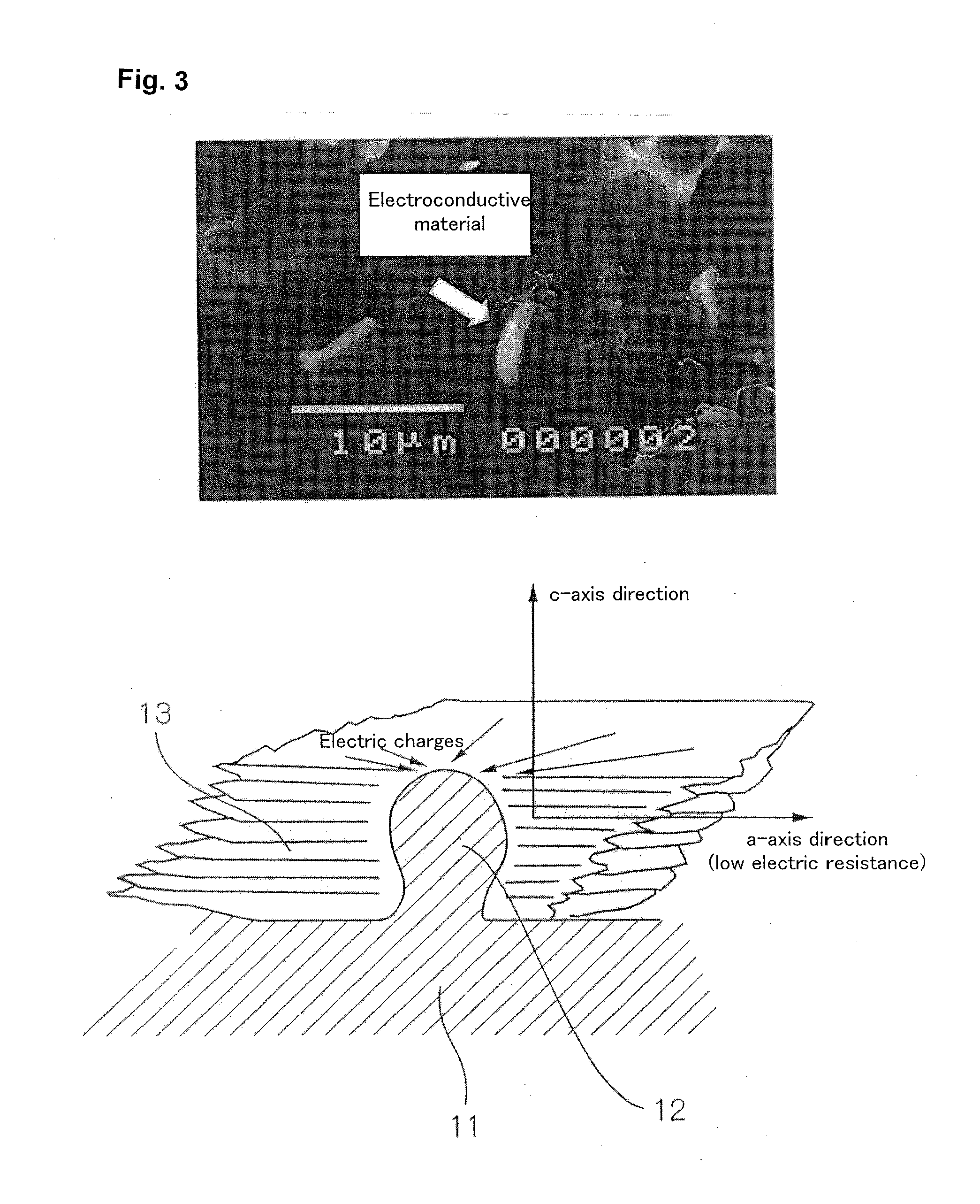 Stainless steel material for a separator of a solid polymer fuel cell and a solid polymer fuel cell using the separator