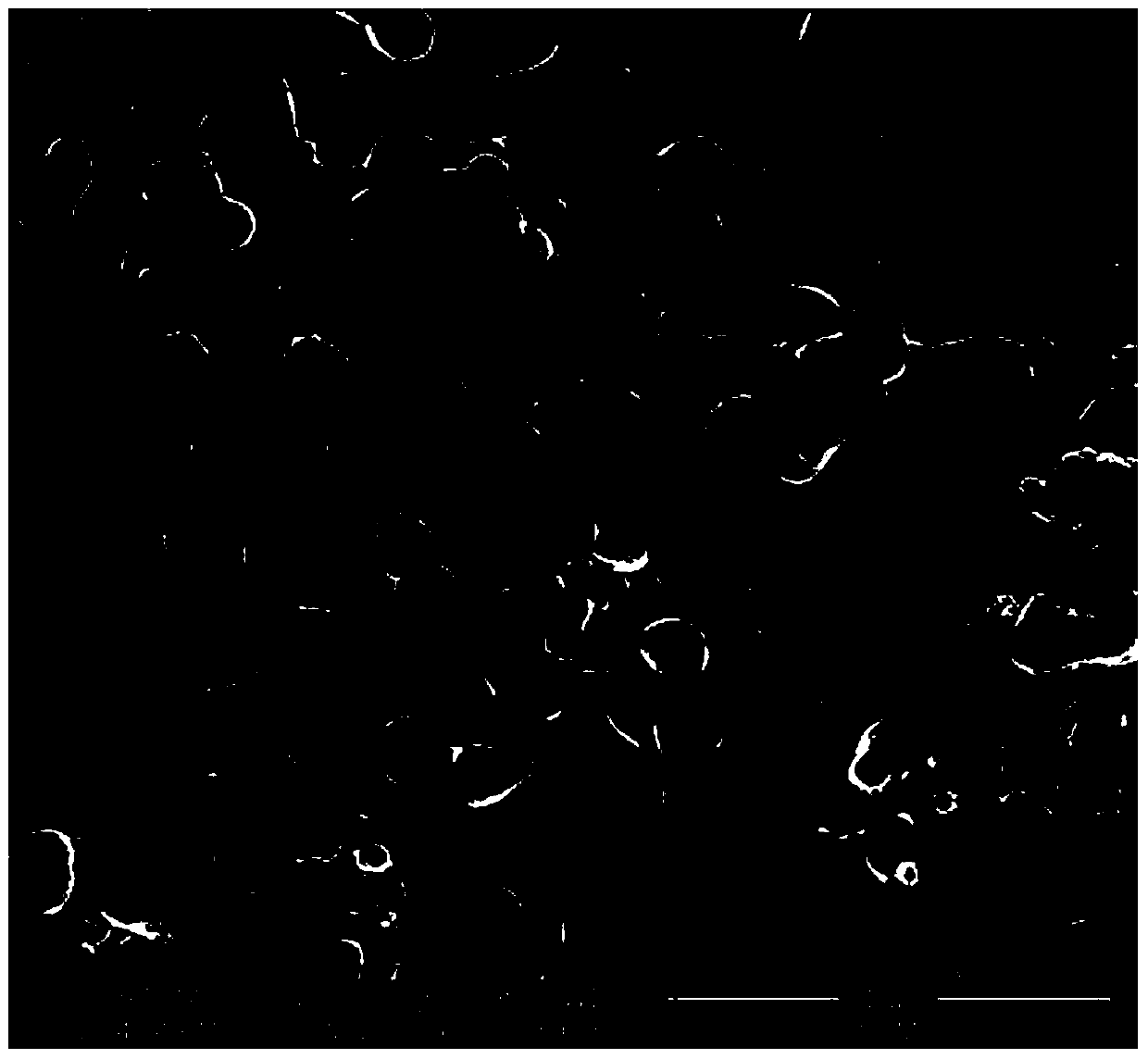 Preparation method of silver phosphate film